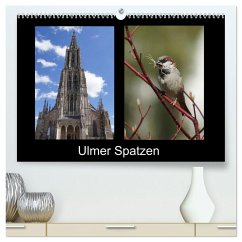 Ulmer Spatzen (hochwertiger Premium Wandkalender 2026 DIN A2 quer), Kunstdruck in Hochglanz Ulmer Spatzen (hochwertiger Premium Wandkalender 2026 DIN A2 quer), Kunstdruck in Hochglanz