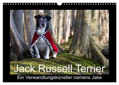 Cover Jack Russell Terrier.....Ein Verwandlungskünstler namens Jake (Wandkalender 2026 DIN A3 quer), CALVENDO Monatskalender