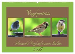 Vogelporträts - Heimische Vögel auf meinem Balkon (Wandkalender 2026 DIN A2 quer), CALVENDO Monatskalender