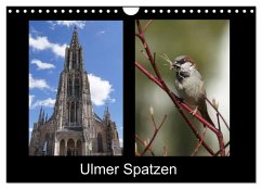 Ulmer Spatzen (Wandkalender 2026 DIN A4 quer), CALVENDO Monatskalender Ulmer Spatzen (Wandkalender 2026 DIN A4 quer), CALVENDO Monatskalender