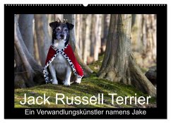 Cover Jack Russell Terrier.....Ein Verwandlungskünstler namens Jake (Wandkalender 2026 DIN A2 quer), CALVENDO Monatskalender
