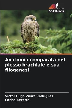 Cover Anatomia comparata del plesso brachiale e sua filogenesi