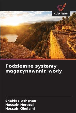 Cover Podziemne systemy magazynowania wody