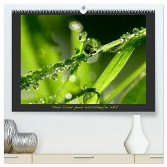 Meine kleine grüne Wassertropfen Welt (hochwertiger Premium Wandkalender 2026 DIN A2 quer), Kunstdruck in Hochglanz