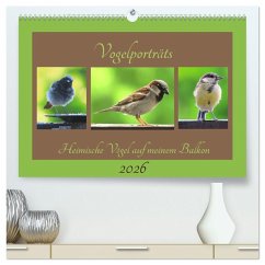 Vogelporträts - Heimische Vögel auf meinem Balkon (hochwertiger Premium Wandkalender 2026 DIN A2 quer), Kunstdruck in Hochglanz