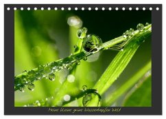 Meine kleine grüne Wassertropfen Welt (Tischkalender 2026 DIN A5 quer), CALVENDO Monatskalender