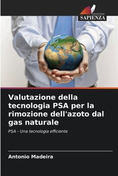 Cover Valutazione della tecnologia PSA per la rimozione dell'azoto dal gas naturale