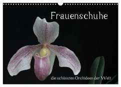 Frauenschuhe - die schönsten Orchideen der Welt (Wandkalender 2026 DIN A3 quer), CALVENDO Monatskalender
