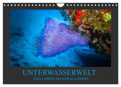 Cover Unterwasserwelt - Das Leben am Korallenriff (Wandkalender 2026 DIN A4 quer), CALVENDO Monatskalender