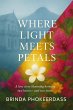 Where Light Meets Petals (eBook, ePUB) - Bild 1
