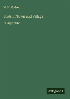 Birds in Town and Village Cover Birds in Town and Village