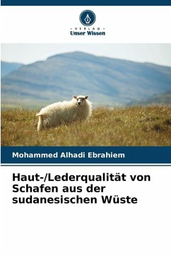 Cover Haut-/Lederqualität von Schafen aus der sudanesischen Wüste