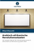 Arabisch-afrikanische Revolutionsstaaten