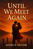 Until We Meet Again (eBook, ePUB)