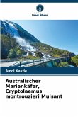 Australischer Marienkäfer, Cryptolaemus montrouzieri Mulsant Australischer Marienkäfer, Cryptolaemus montrouzieri Mulsant