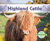 Highland Cattle Highland Cattle