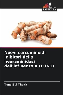 Nuovi curcuminoidi inibitori della neuraminidasi dell'influenza A (H1N1) - Bui Thanh, Tung Nuovi curcuminoidi inibitori della neuraminidasi dell'influenza A (H1N1) - Bui Thanh, Tung