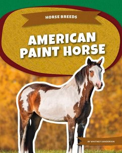 Cover American Paint Horse