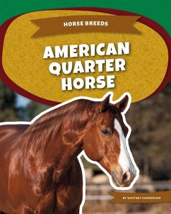 Cover American Quarter Horse
