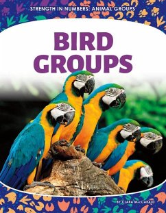 Cover Bird Groups