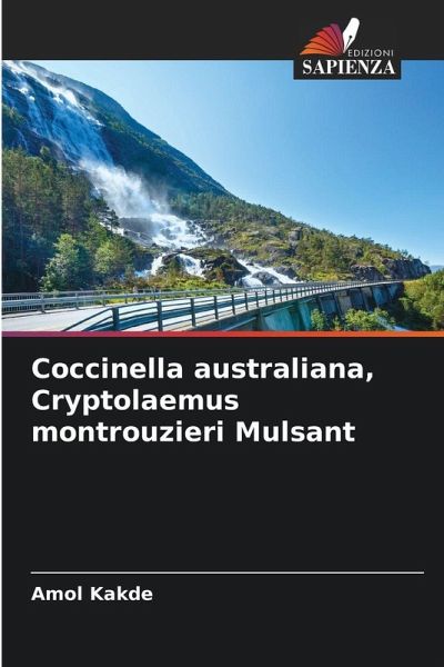 Coccinella australiana, Cryptolaemus montrouzieri Mulsant