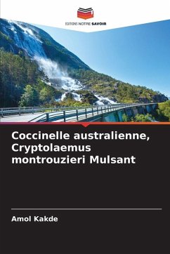 Cover Coccinelle australienne, Cryptolaemus montrouzieri Mulsant