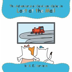 Cover Lost At The Mall