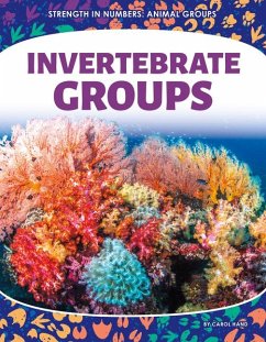 Cover Invertebrate Groups