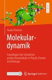 Molekulardynamik (eBook, PDF)
