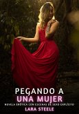 Pegando a una Mujer (eBook, ePUB) Pegando a una Mujer (eBook, ePUB)