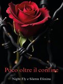 Poco oltre il confine (eBook, ePUB) Poco oltre il confine (eBook, ePUB)