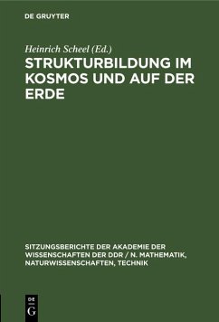 Cover Strukturbildung im Kosmos und auf der Erde (eBook, PDF)