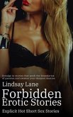 Forbidden Erotic Stories - Explicit Hot Short Sex Stories (eBook, ePUB)