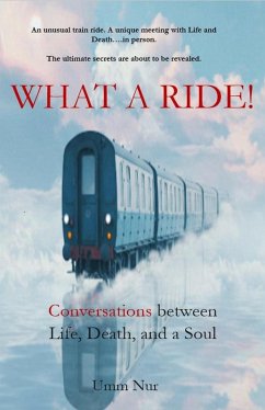 What A Ride! Conversations between Life, Death and a Soul (eBook, ePUB) - Nur, Umm