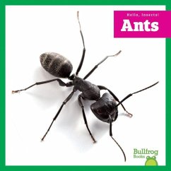 Cover Ants