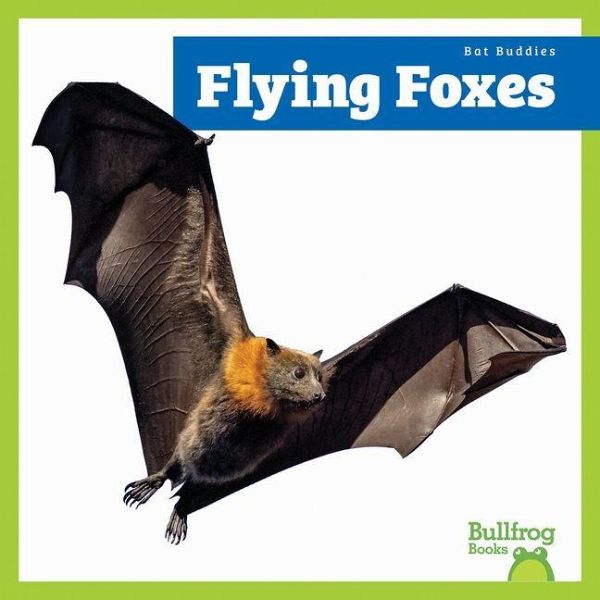 Flying Foxes Flying Foxes