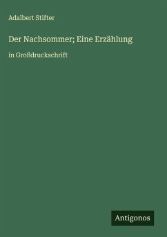 Der Nachsommer; Eine Erzählung - Stifter, Adalbert