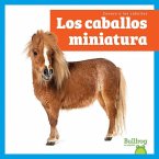 Los Caballos Miniatura (Miniature Horses)