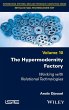 The Hypermodernity Factory - Bild 1