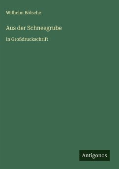 Cover Aus der Schneegrube