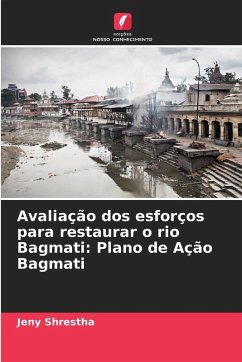 Cover Avaliação dos esforços para restaurar o rio Bagmati: Plano de Ação Bagmati