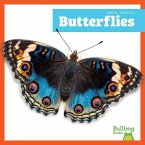 Butterflies Butterflies