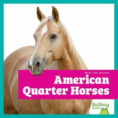 Cover American Quarter Horses