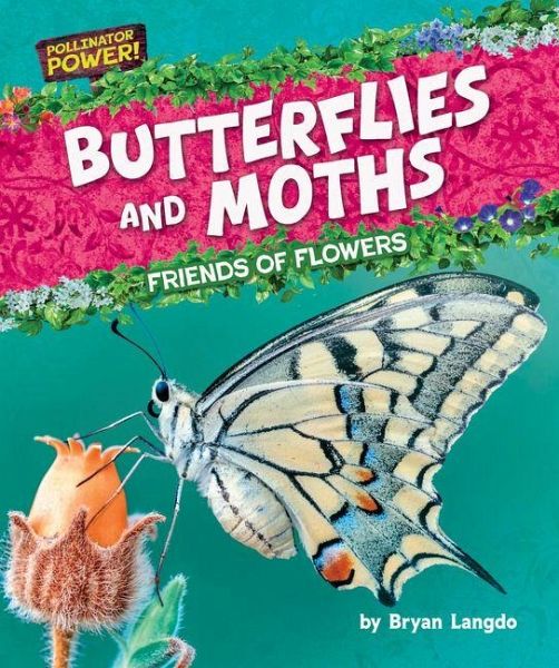 Butterflies and Moths Butterflies and Moths