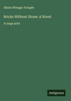 Cover Bricks Without Straw; A Novel