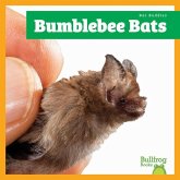 Bumblebee Bats