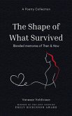 The Shape of What Survived