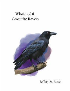 What Light Gave the Raven Cover What Light Gave the Raven