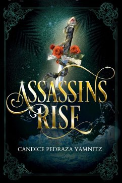 Cover Assassins Rise