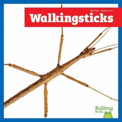 Cover Walkingsticks